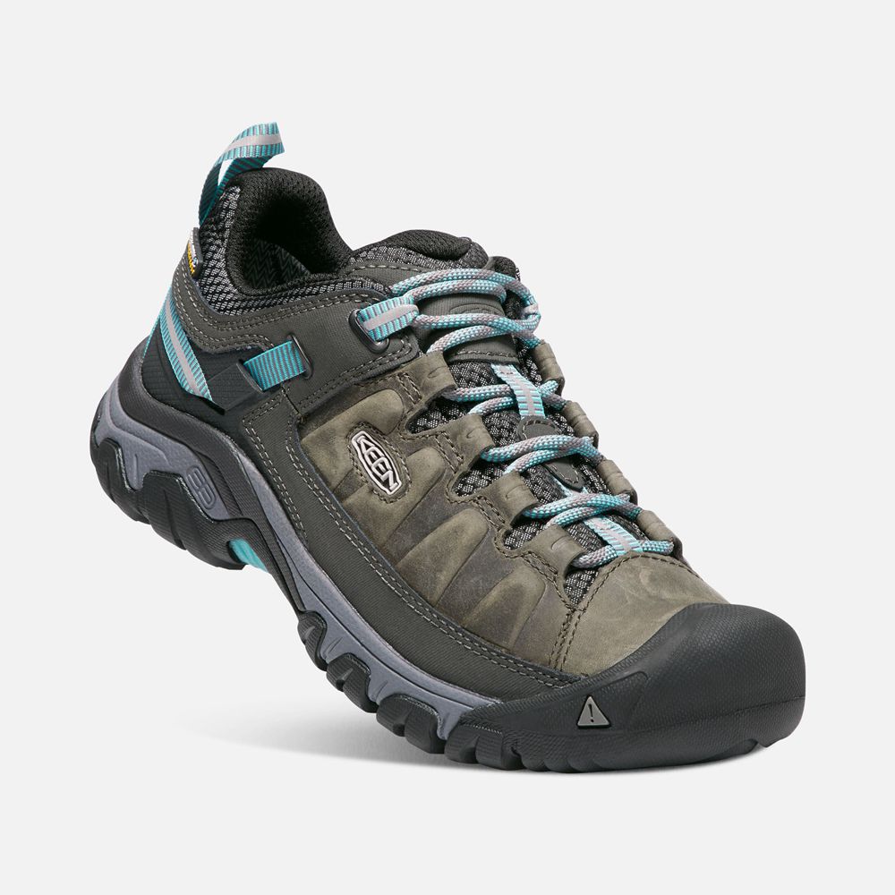 Keen Wandelschoenen Dames Zwart Bruin - Targhee Iii Waterproof - 40185-EJFO